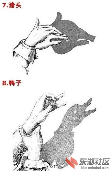 6e5f19e9ly1fbsp7o2jajj20c80im0u5.jpg