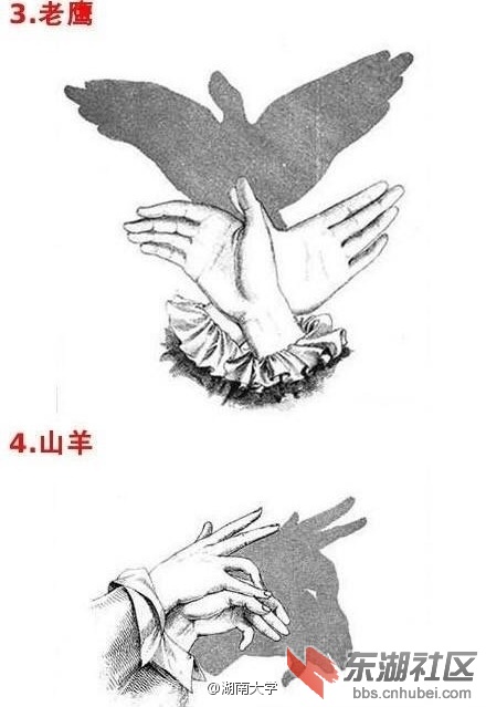 6e5f19e9ly1fbsp7o1s3rj20c80hrgmq.jpg