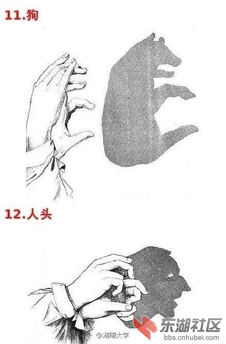 6e5f19e9ly1fbsp7o3hohj20c80ilabj.jpg