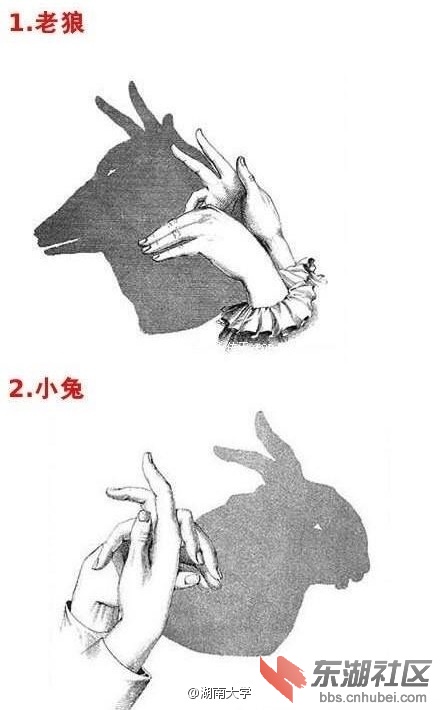 6e5f19e9ly1fbsp7o176ij20c80jqdgx.jpg