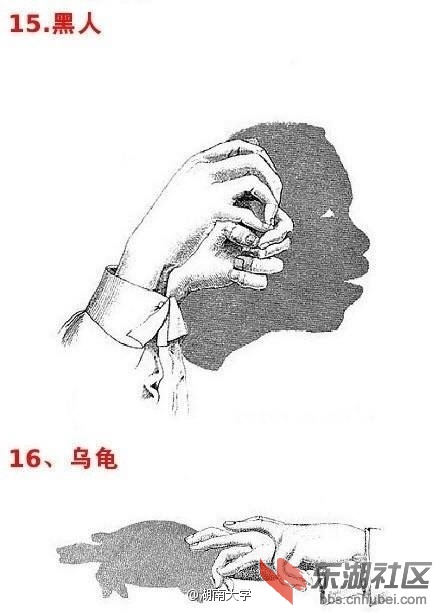 6e5f19e9ly1fbsp7o92i4j20c80h0my8.jpg