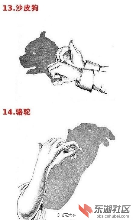 6e5f19e9ly1fbsp7o8gbsj20c80k80u6.jpg