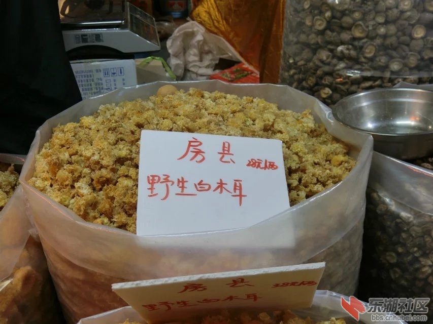 CIMG9081.jpg