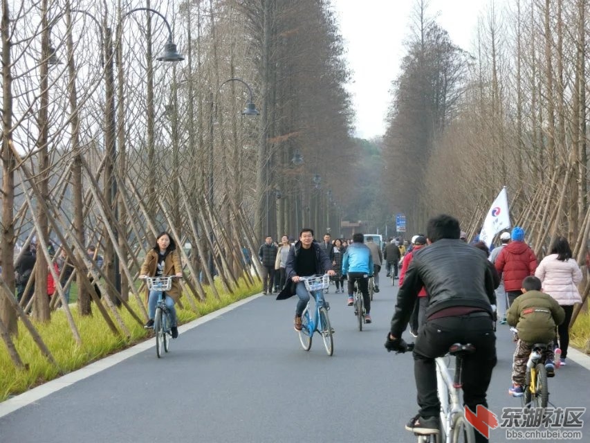 CIMG0845.jpg