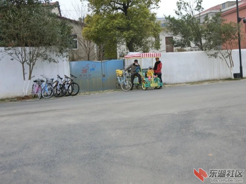 CIMG0916.jpg