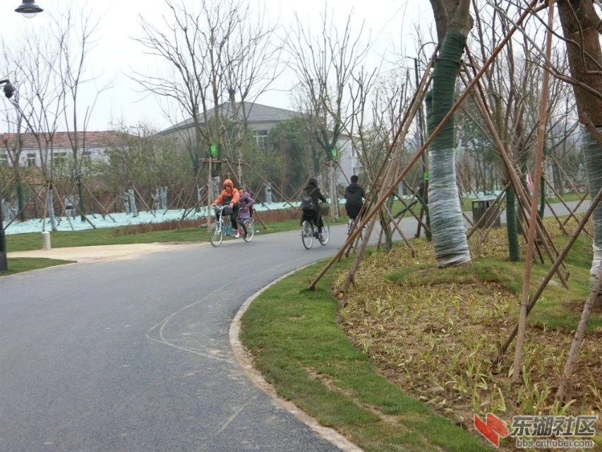 CIMG0922.jpg