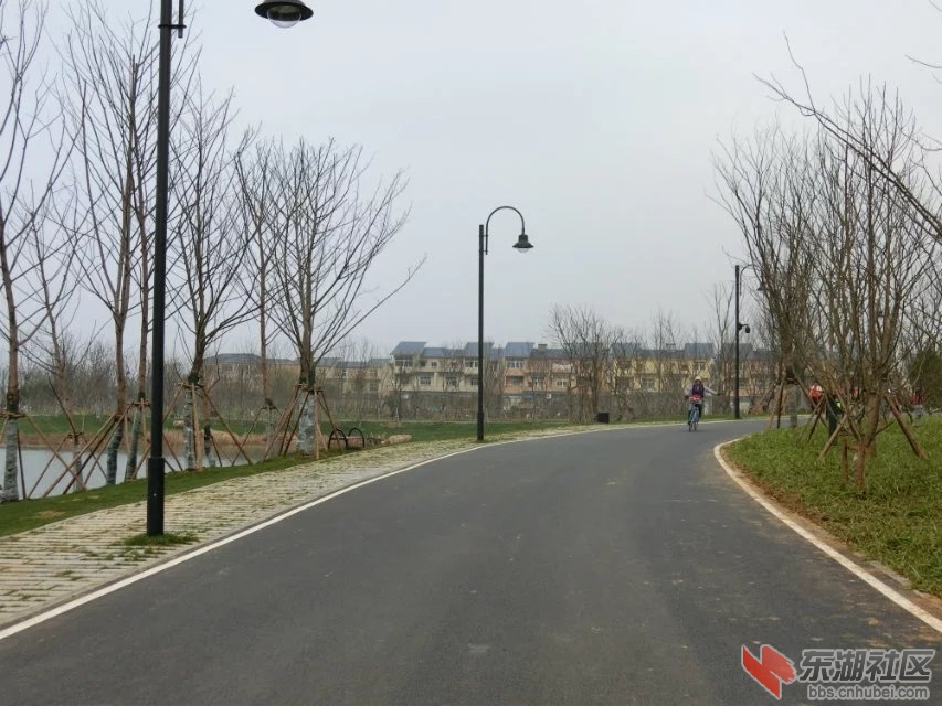 CIMG0963.jpg