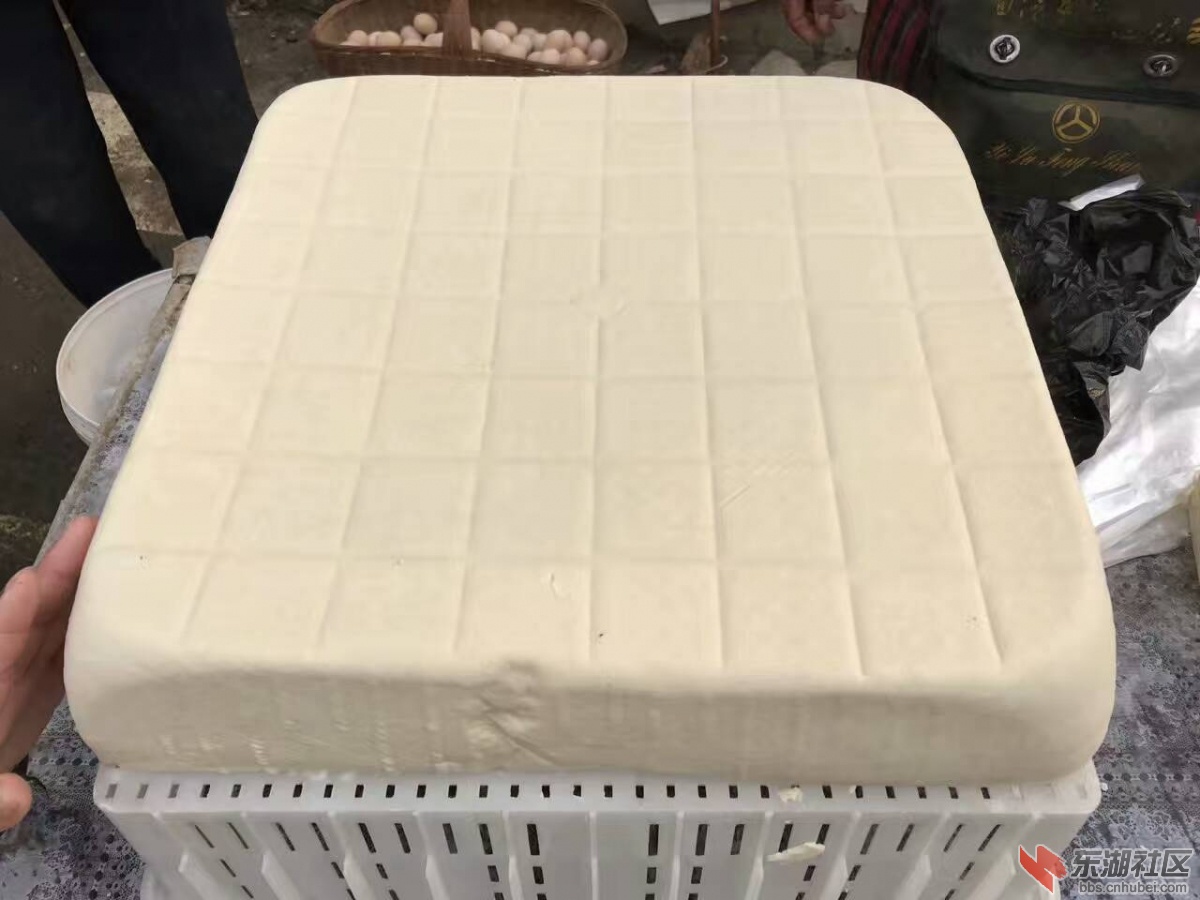 mmexport1485232155368.jpg