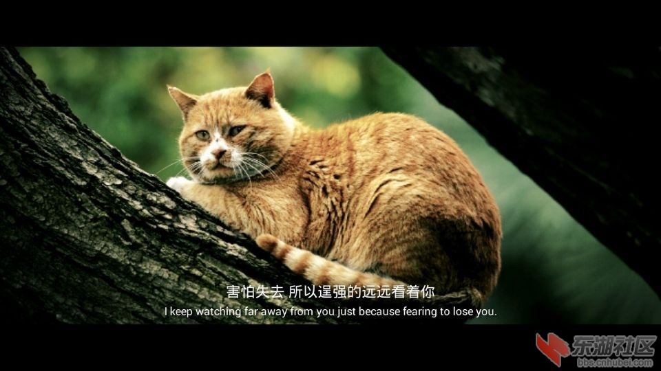 QQ图片20170129141943.jpg