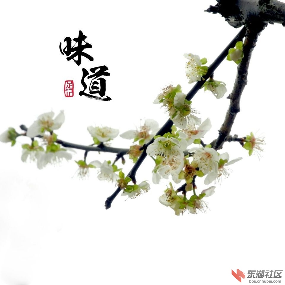 QQ图片20170129141953.jpg