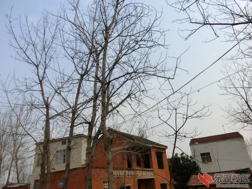 CIMG2938.jpg