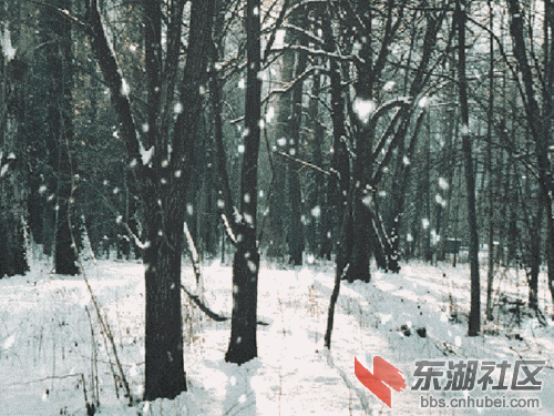 391735113.gif