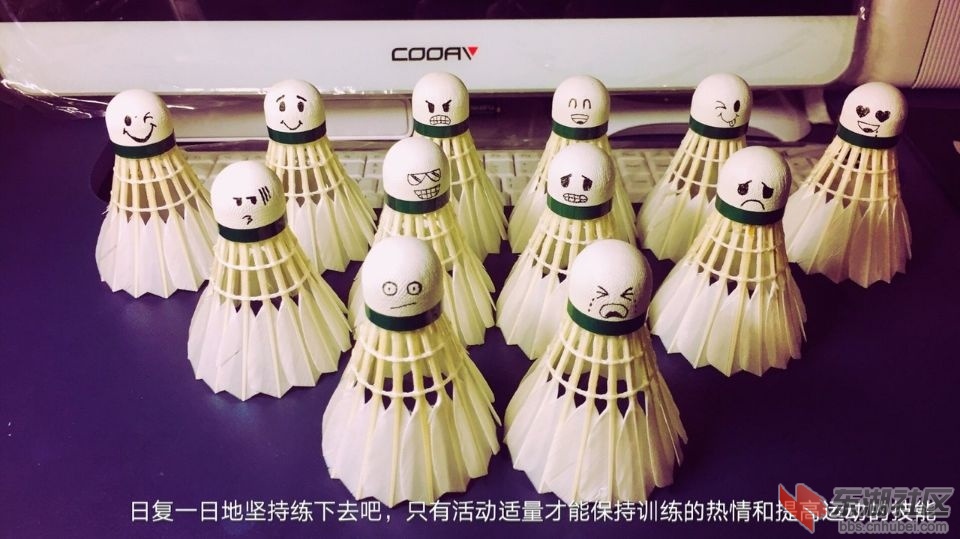 QQ图片20170112114605.jpg