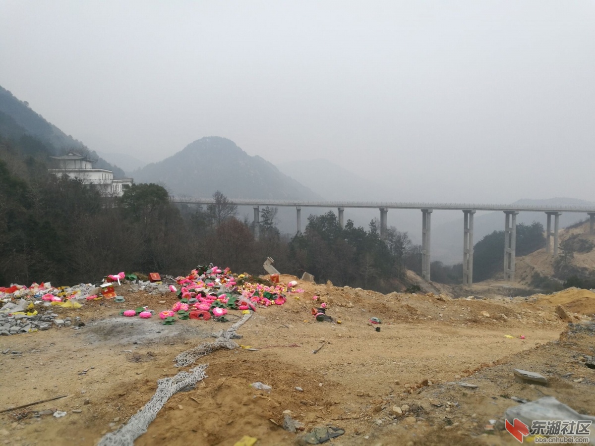 定慧大桥.jpg