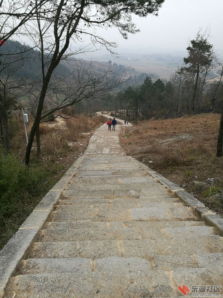 东山古道1.jpg