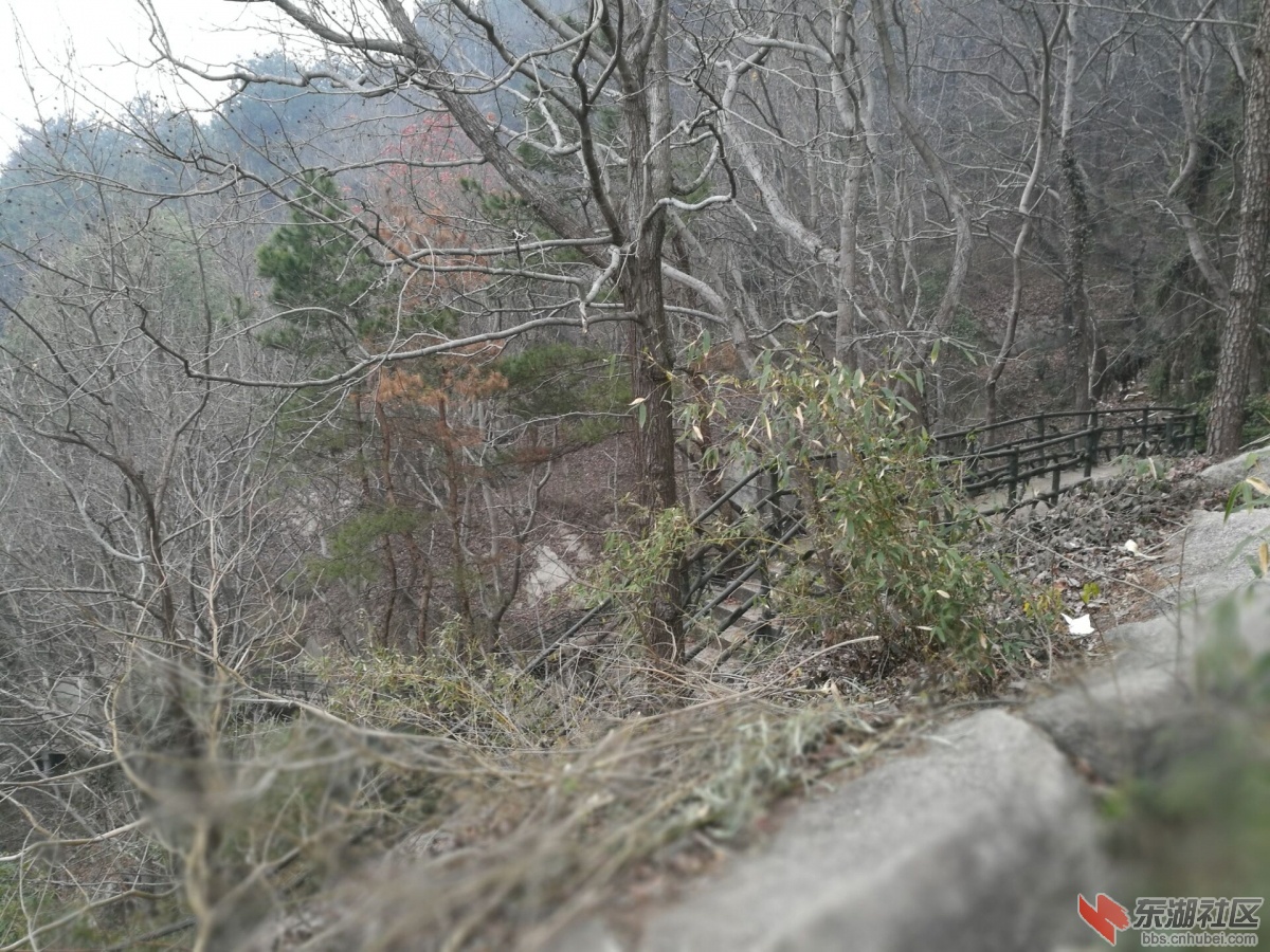 东山栈道.jpg