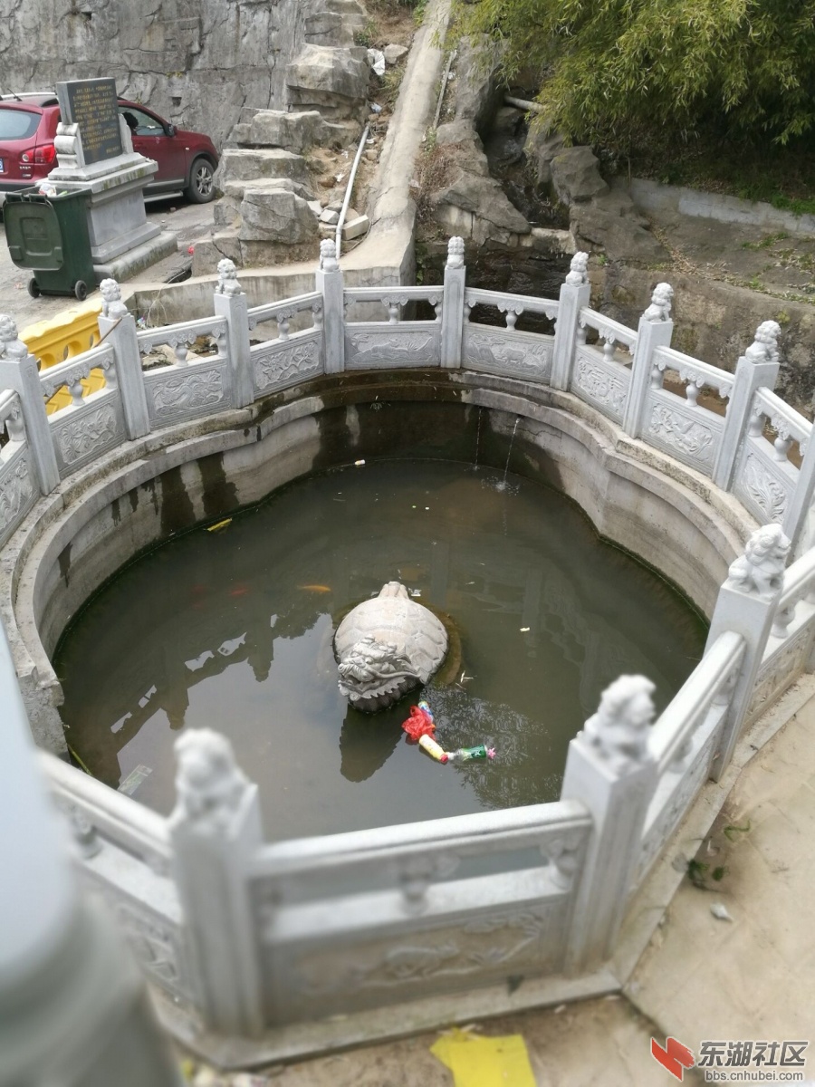 龟池.jpg