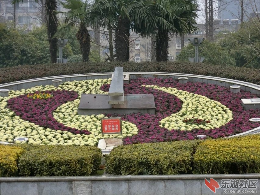 CIMG3193.jpg
