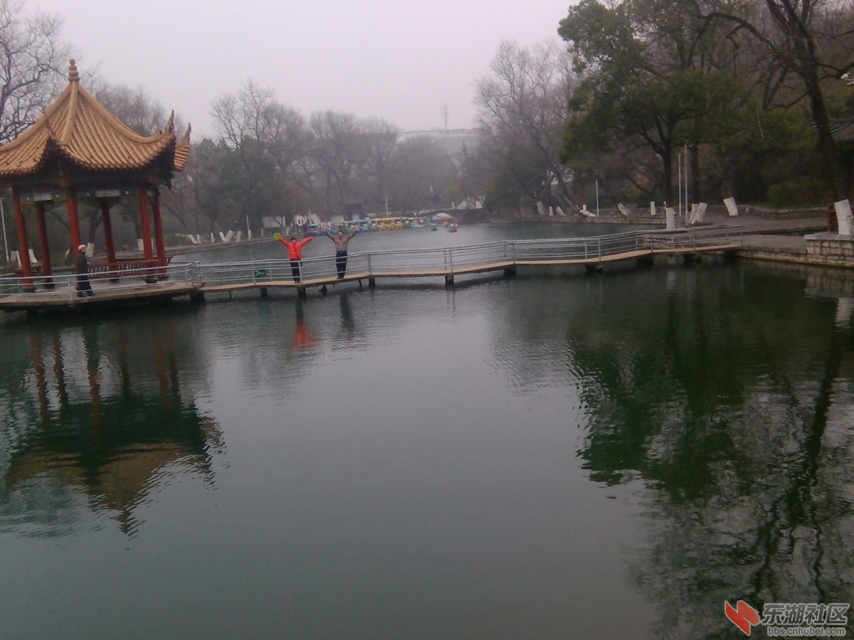 IMG_20170206_155547_副本.jpg