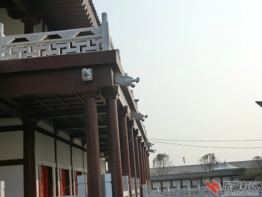 CIMG2309.jpg