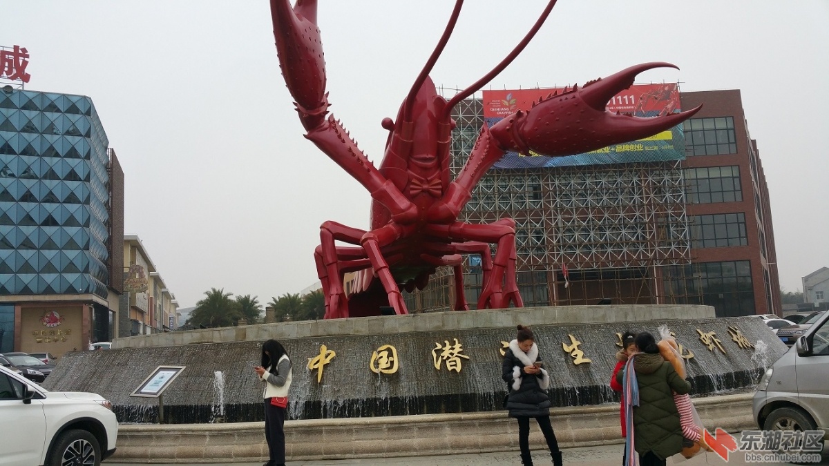 20170206_154229.jpg