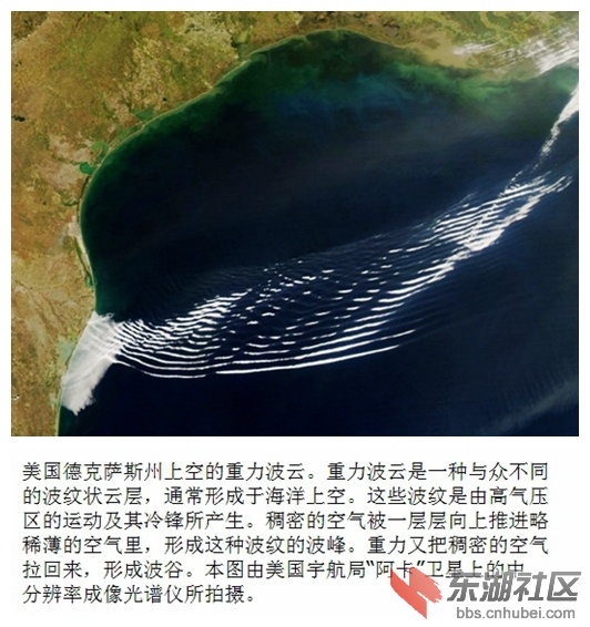 17美国德克萨斯.jpg