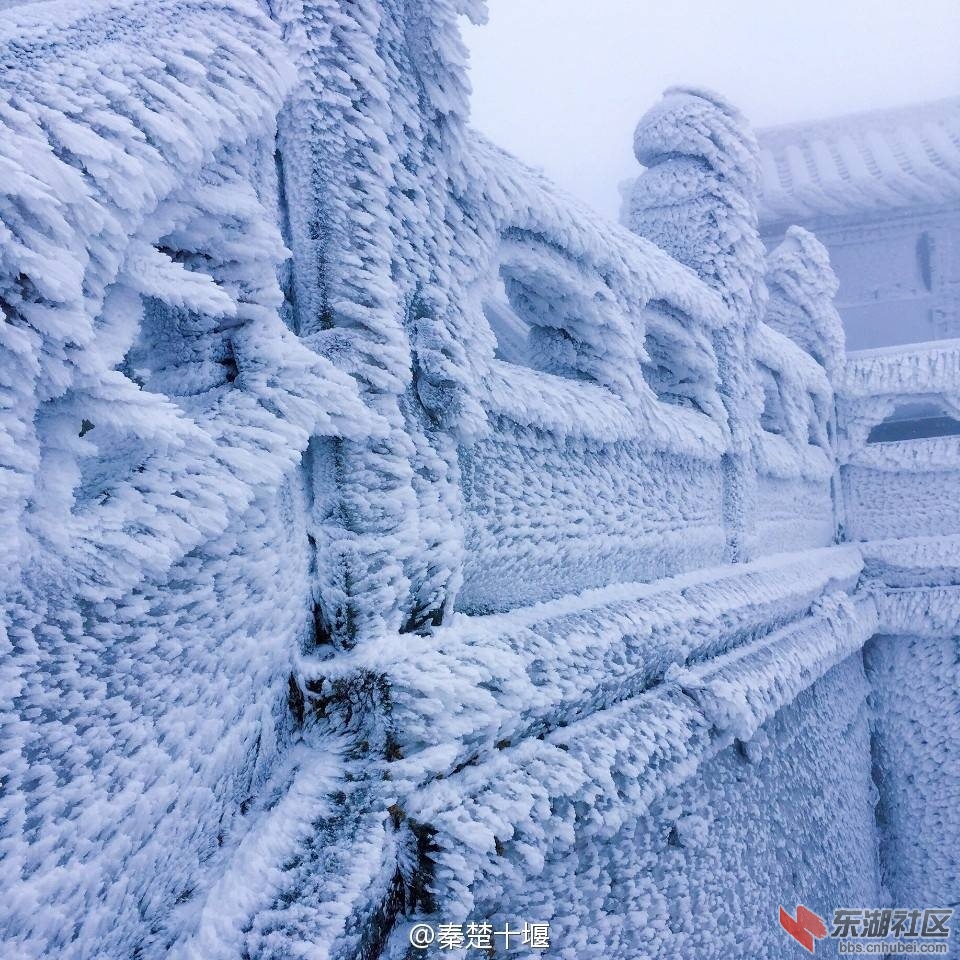 QQ图片20170209092501.jpg