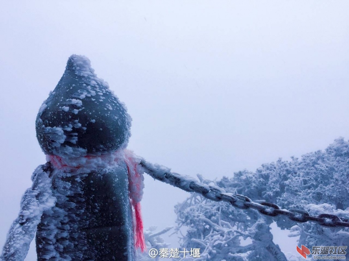 QQ图片20170209092428.jpg