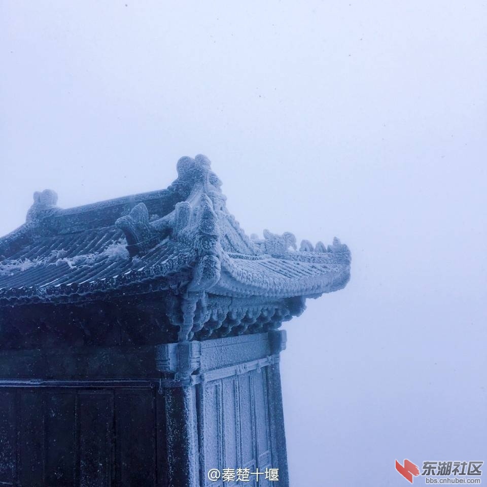 QQ图片20170209092504.jpg