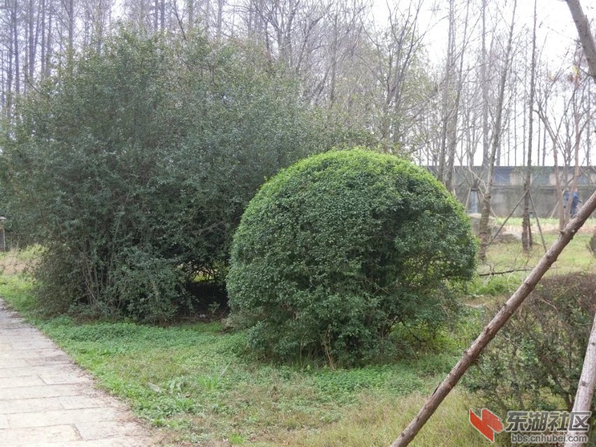 CIMG1154.jpg