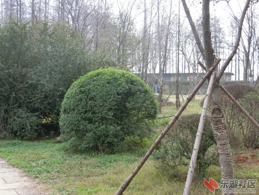 CIMG1153.jpg