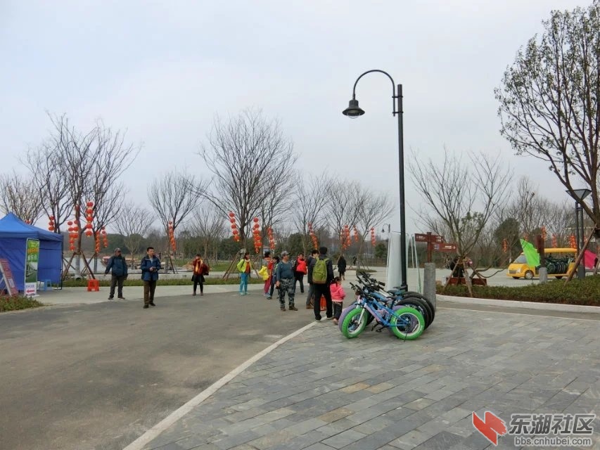 CIMG1169.jpg