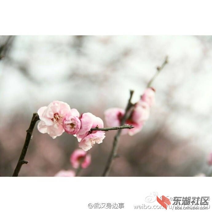 QQ图片20170212232545.jpg