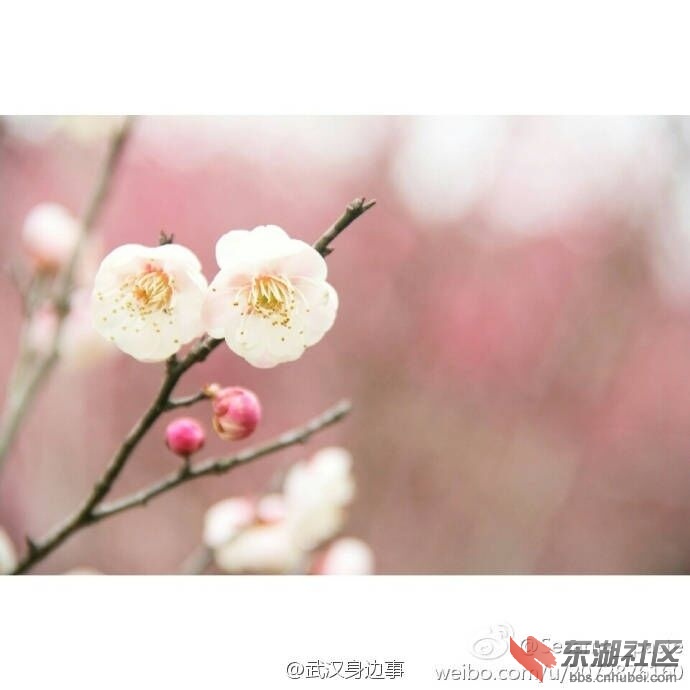 QQ图片20170212232542.jpg