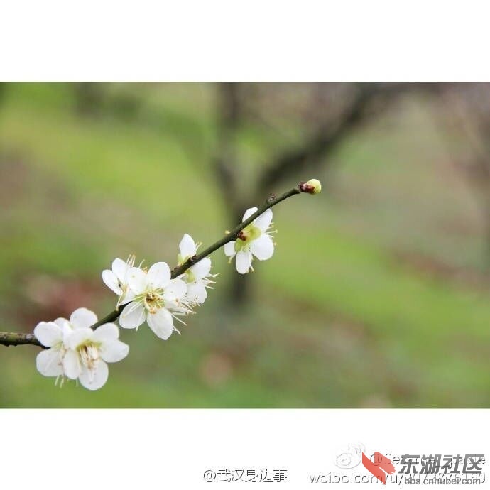 QQ图片20170212232823.jpg