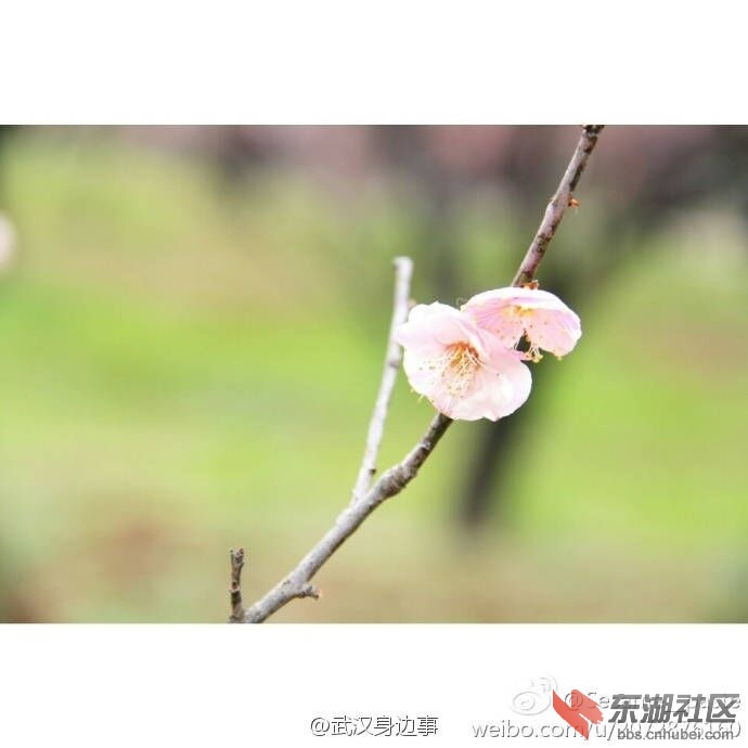 QQ图片20170212232946.jpg