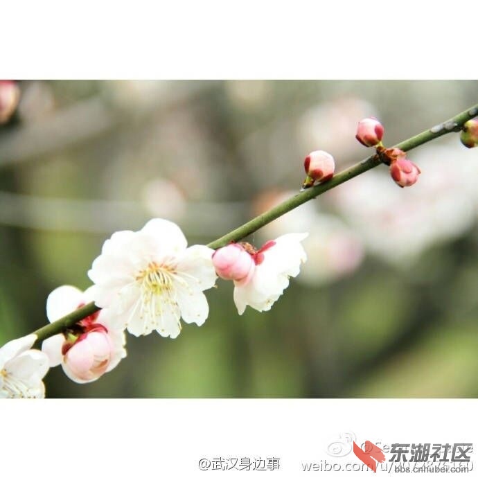 QQ图片20170212233022.jpg