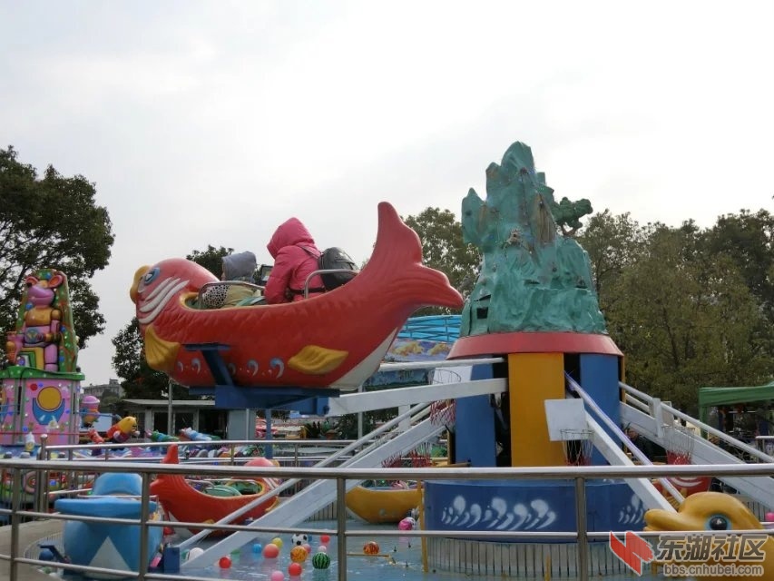 CIMG3587.jpg