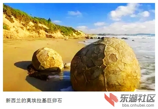 18新西兰的莫埃拉基巨卵石.jpg
