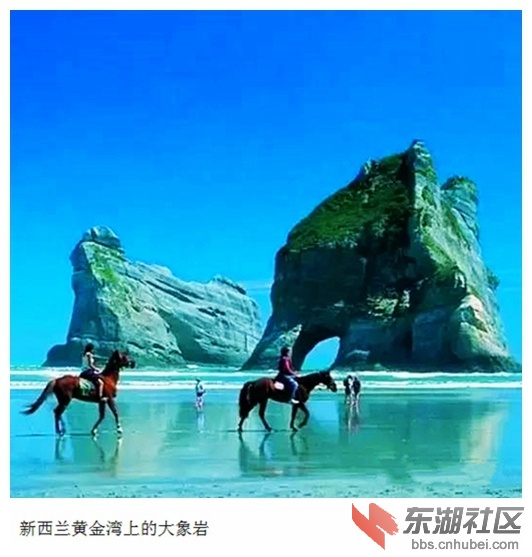 19新西兰黄金湾上的大象岩.jpg