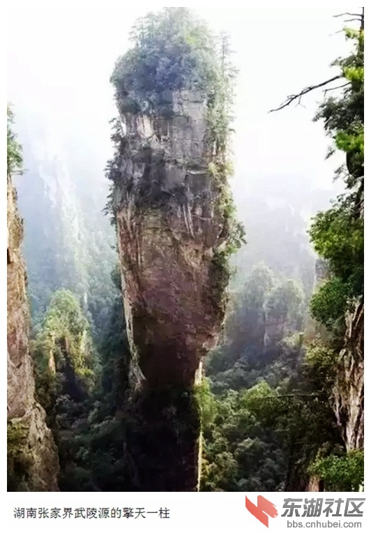 22湖南张家界武陵源的擎天一柱.jpg