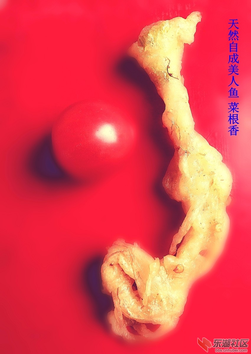 06.JPG