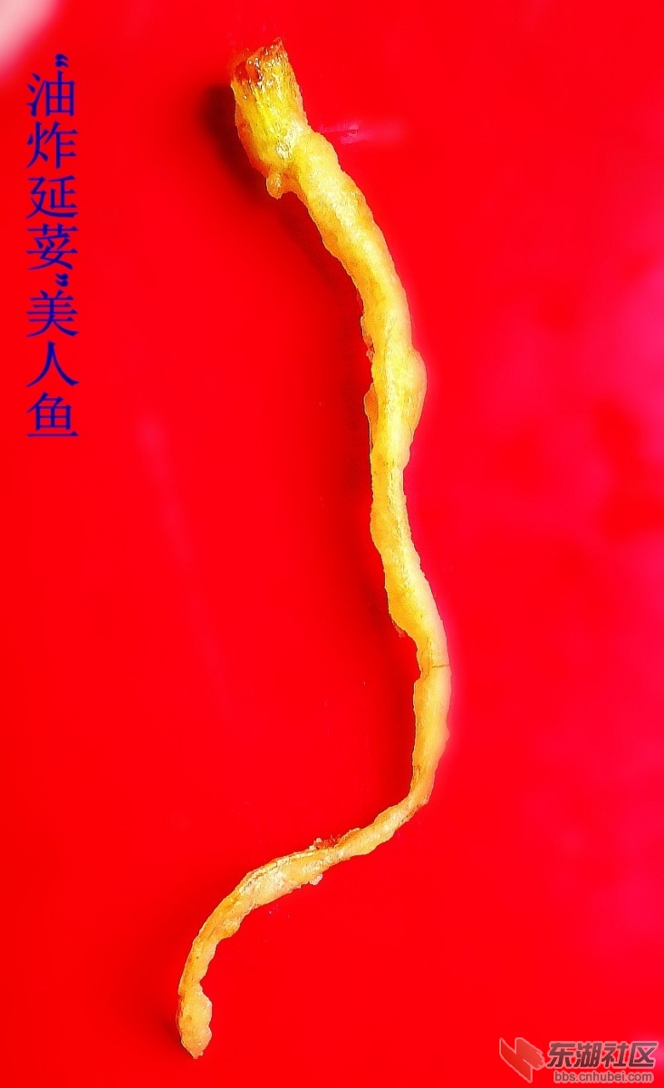 010.JPG