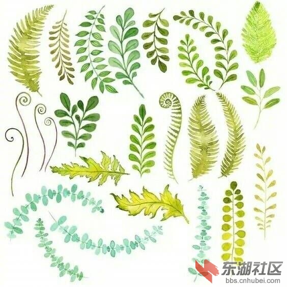 QQ图片20170219105515.jpg