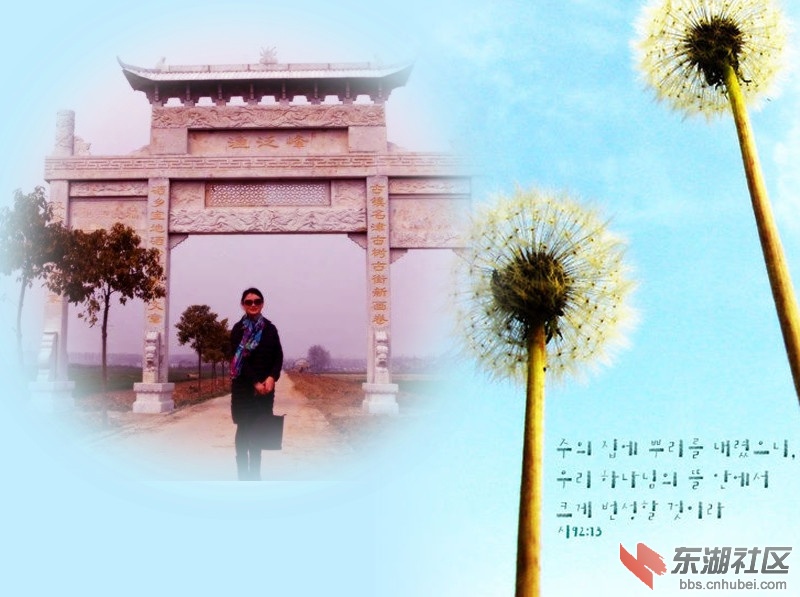 psb (4)_副本.jpg