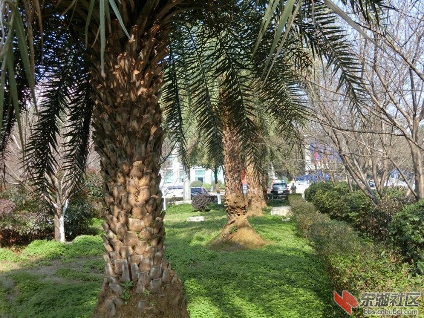 CIMG1567.jpg