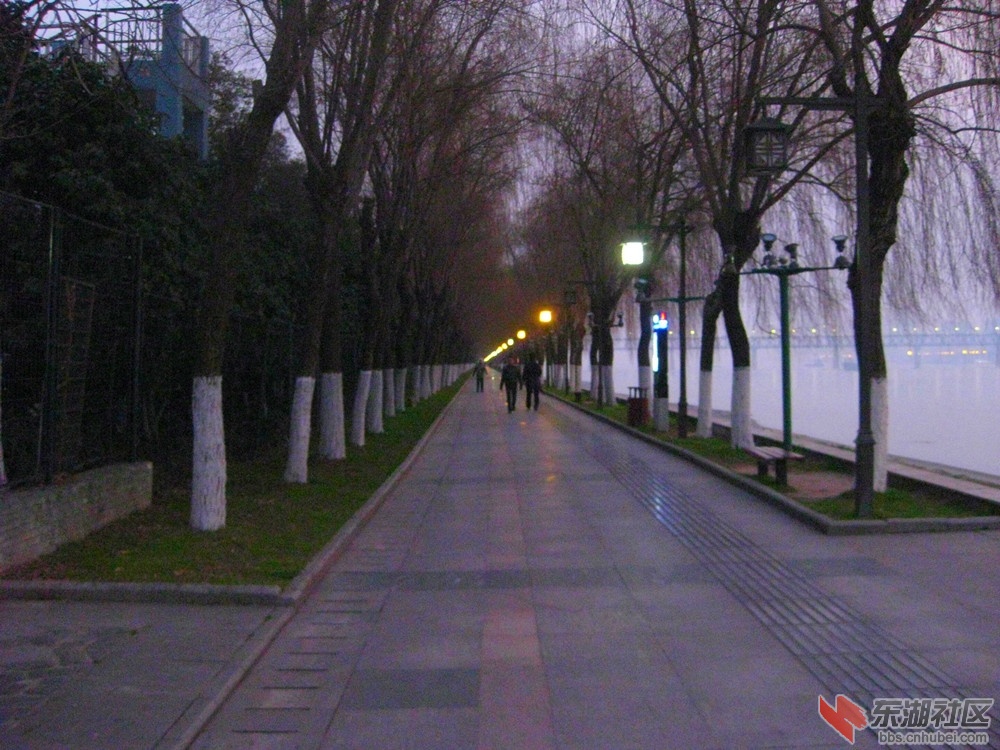 A江滩早晨4.jpg