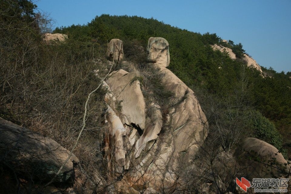 QQ图片20170222190827.jpg