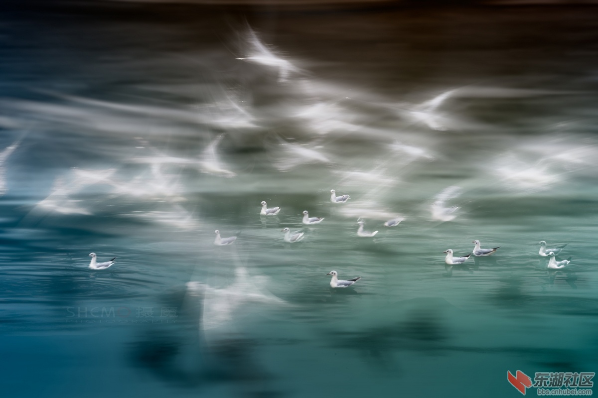 DSC_0422C.jpg