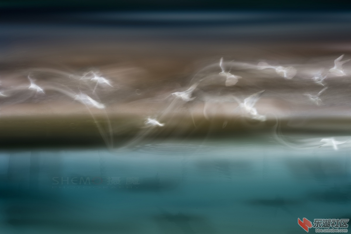 DSC_0557C.jpg